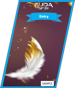 Blue:<br>Entry Feathers